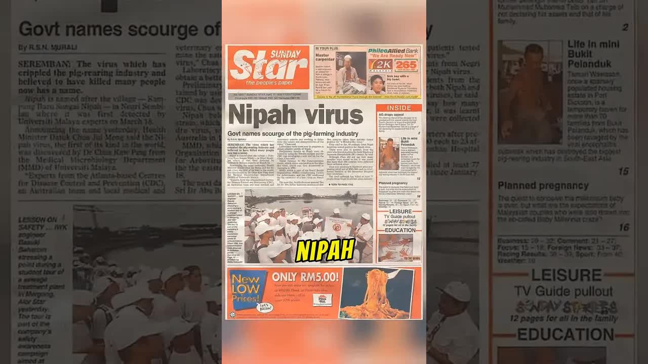 Sejarah Wabak Virus Nipah 1998 di Malaysia