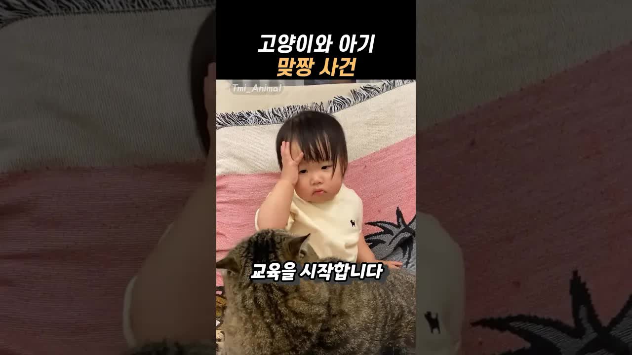 아기가 고양이와 맞짱 뜬 사건