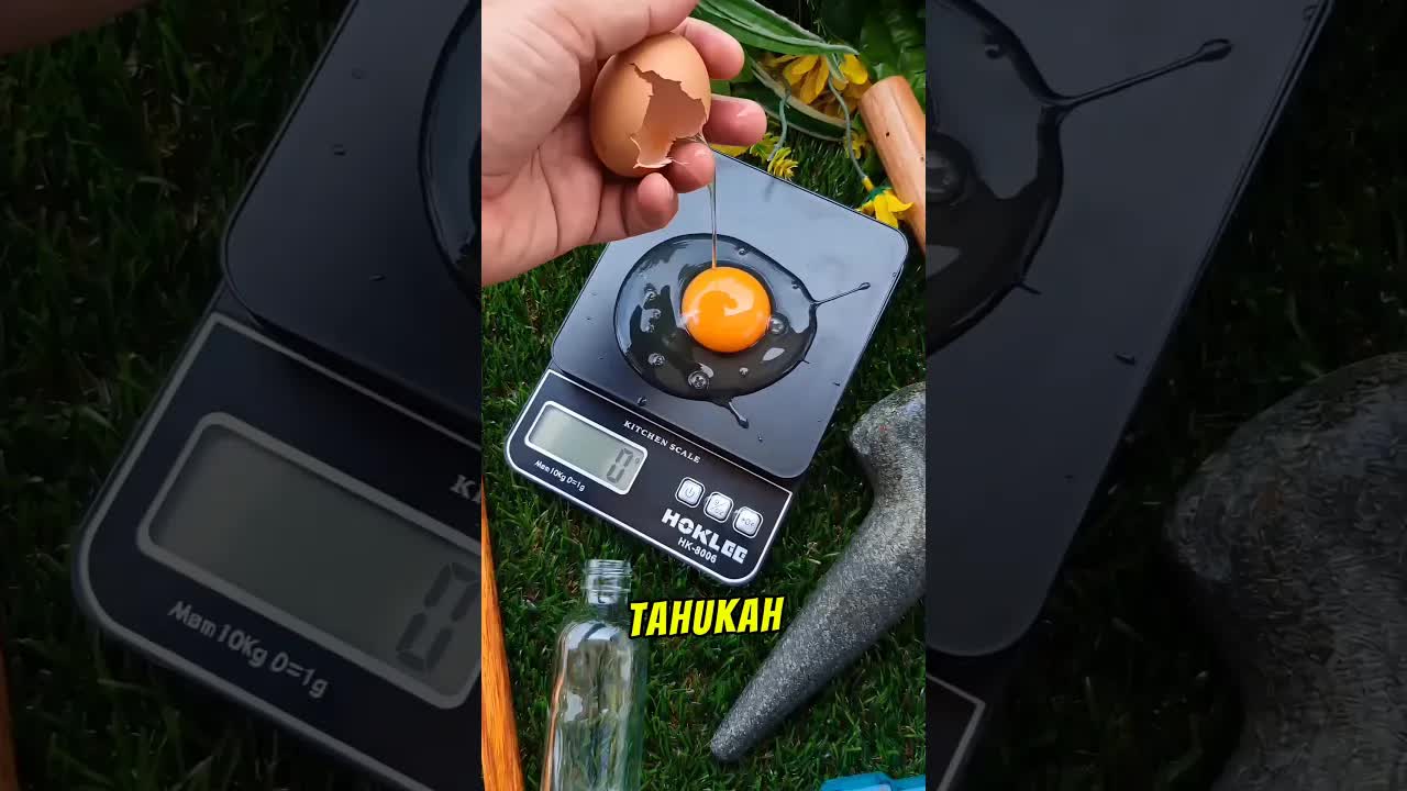 Menimbang Telur Selangor dengan Timbangan Digital Murah