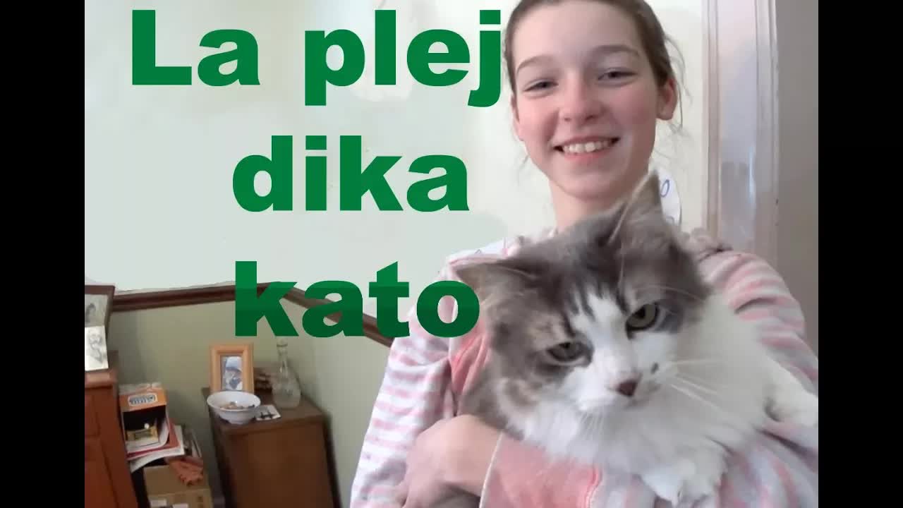 Kiu estas la plej peza kato?