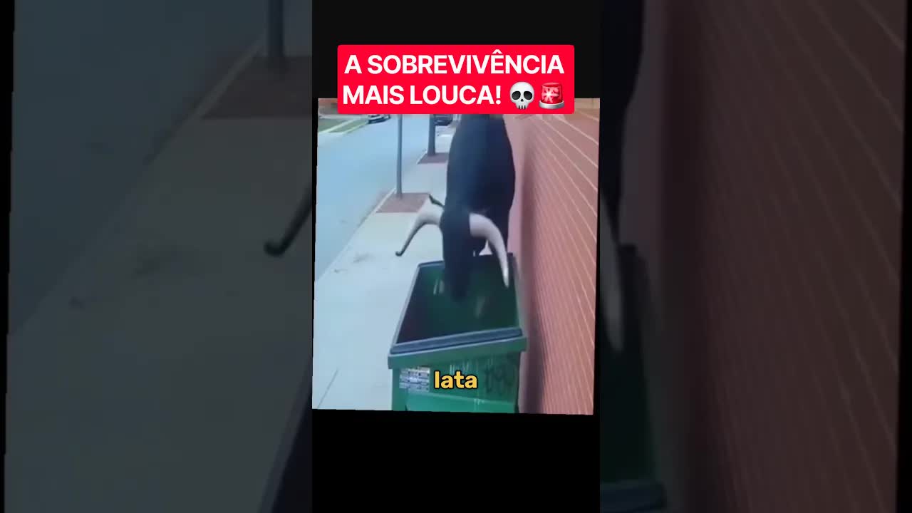 As piores dicas de sobrevivência do mundo