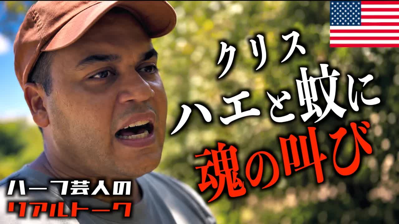 ハエと蚊への愚痴と共存の話