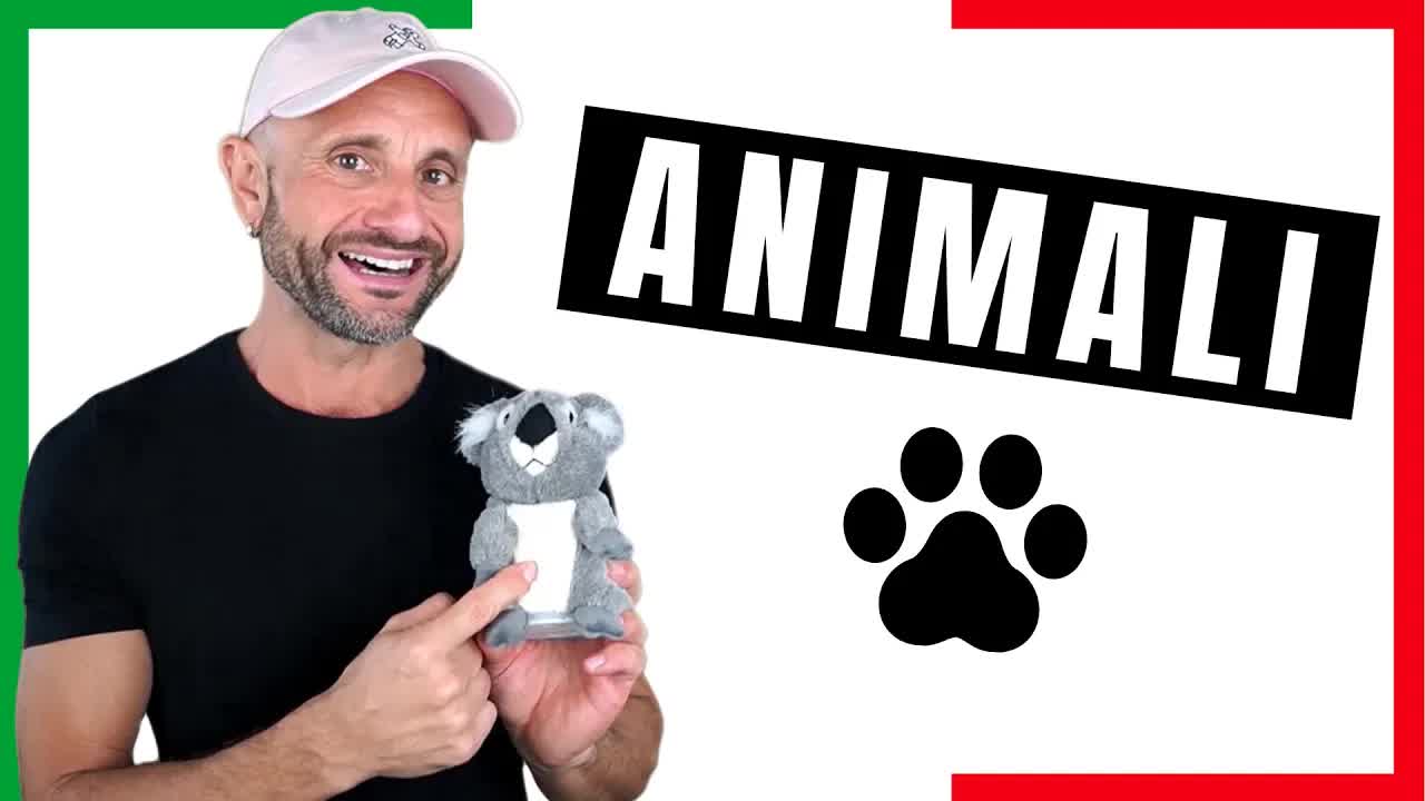 Parole italiane sugli animali per principianti