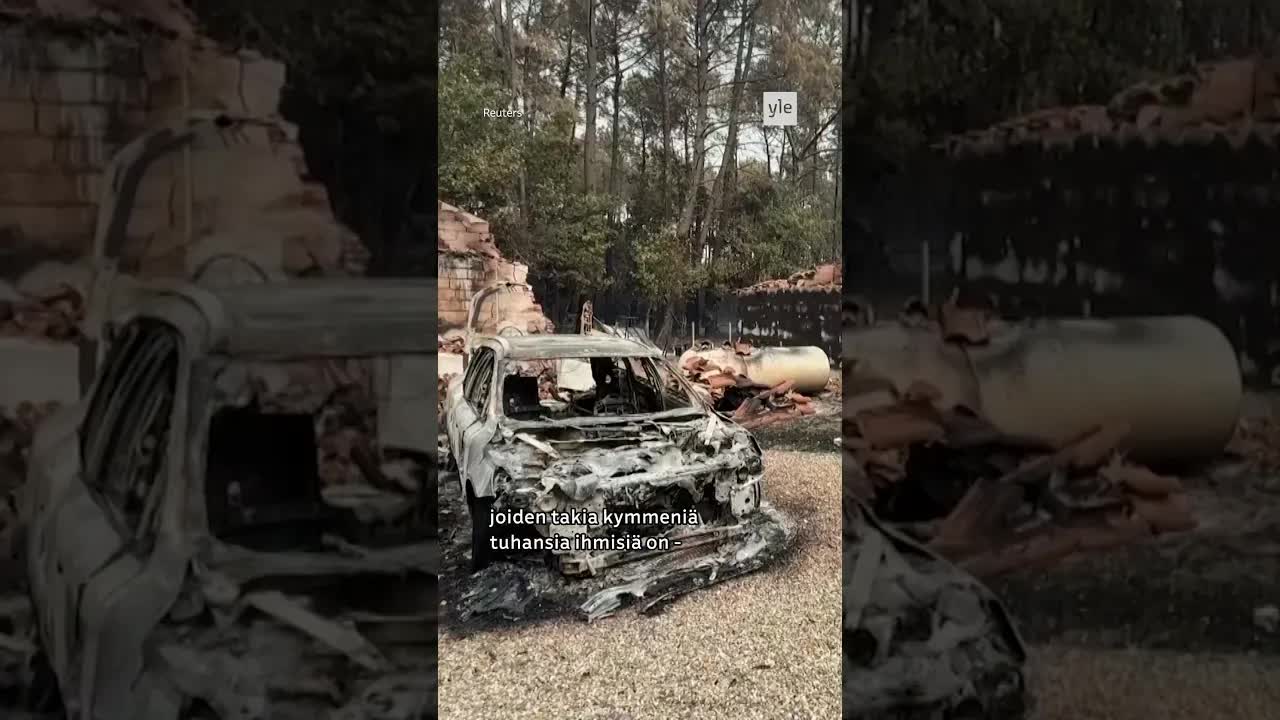 Kalat kuolevat Ranskan kuiviin jokiin