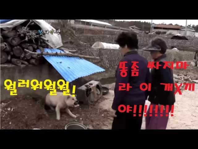 할머니들의 고향극장 웃음 대결