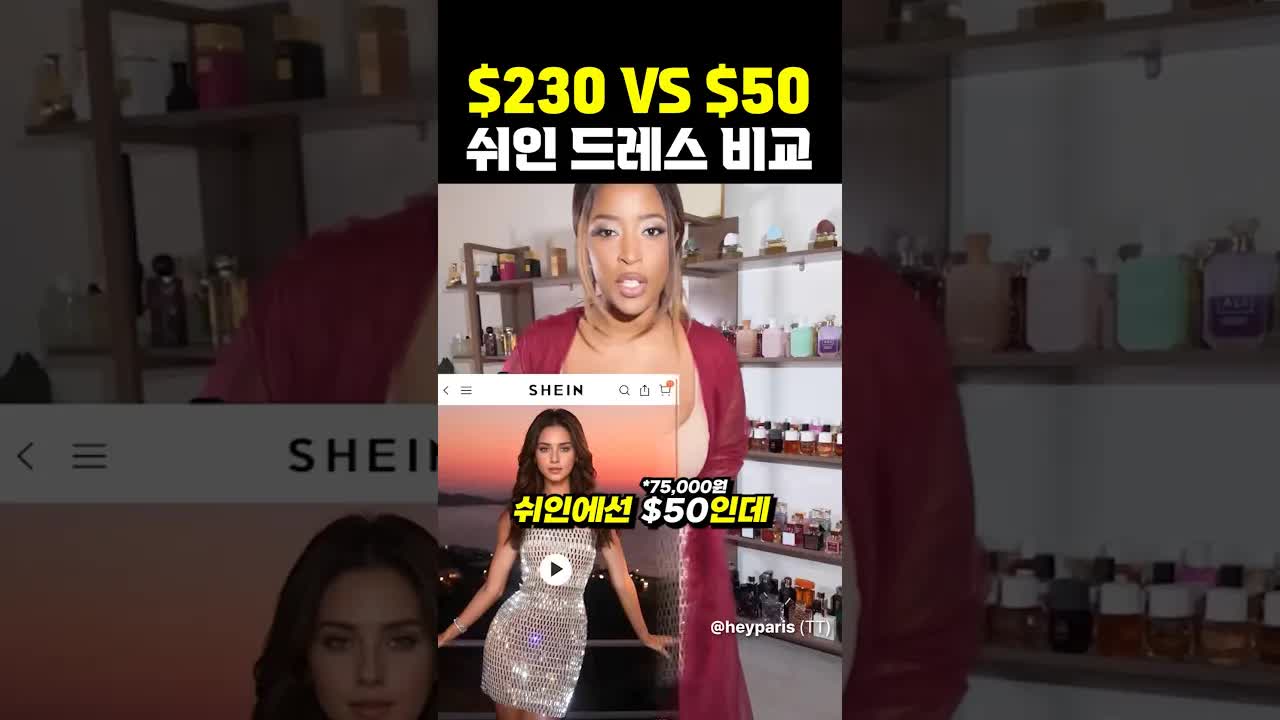 230달러와 50달러 드레스 비교