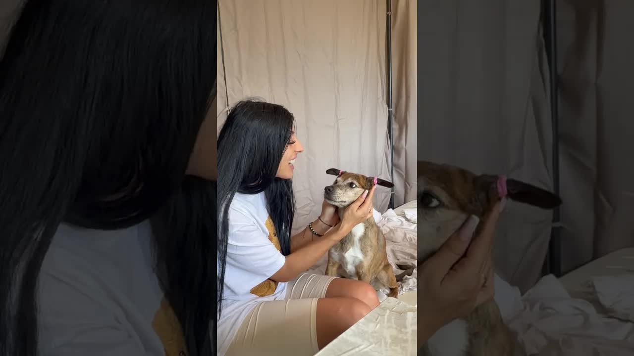 Maria îi face codițe câinelui ei drăguț