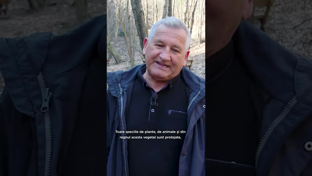 Parcul Național Cozia: Biodiversitate și Natură Protejată