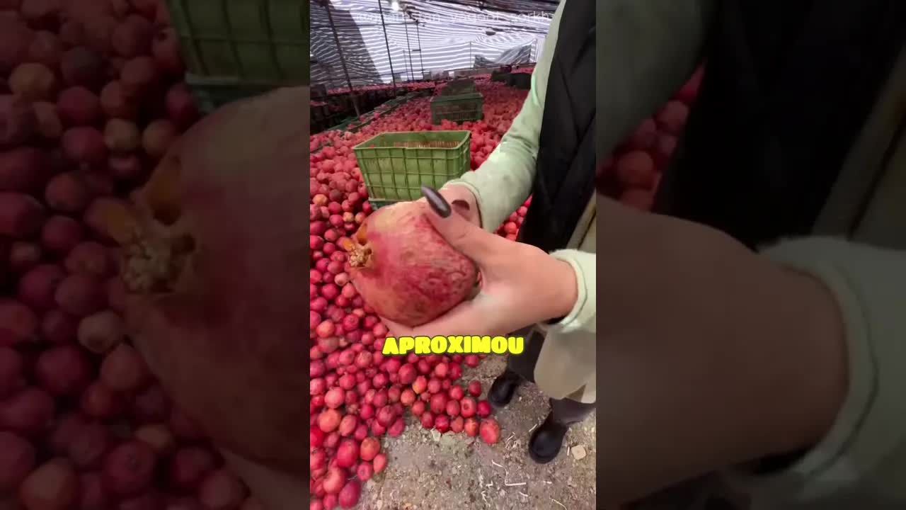 O vendedor revela o segredo de uma romã
