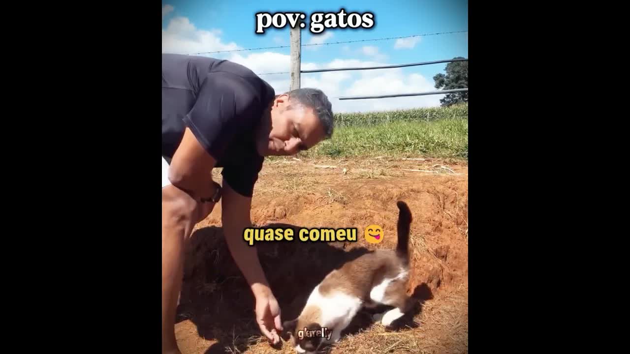 Gato com nariz de gente causa confusão