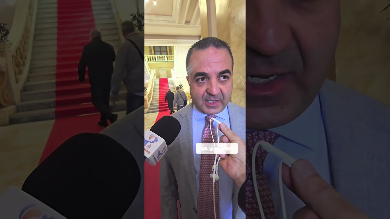Il Sindaco parla del nuovo McDonald's a Reggio