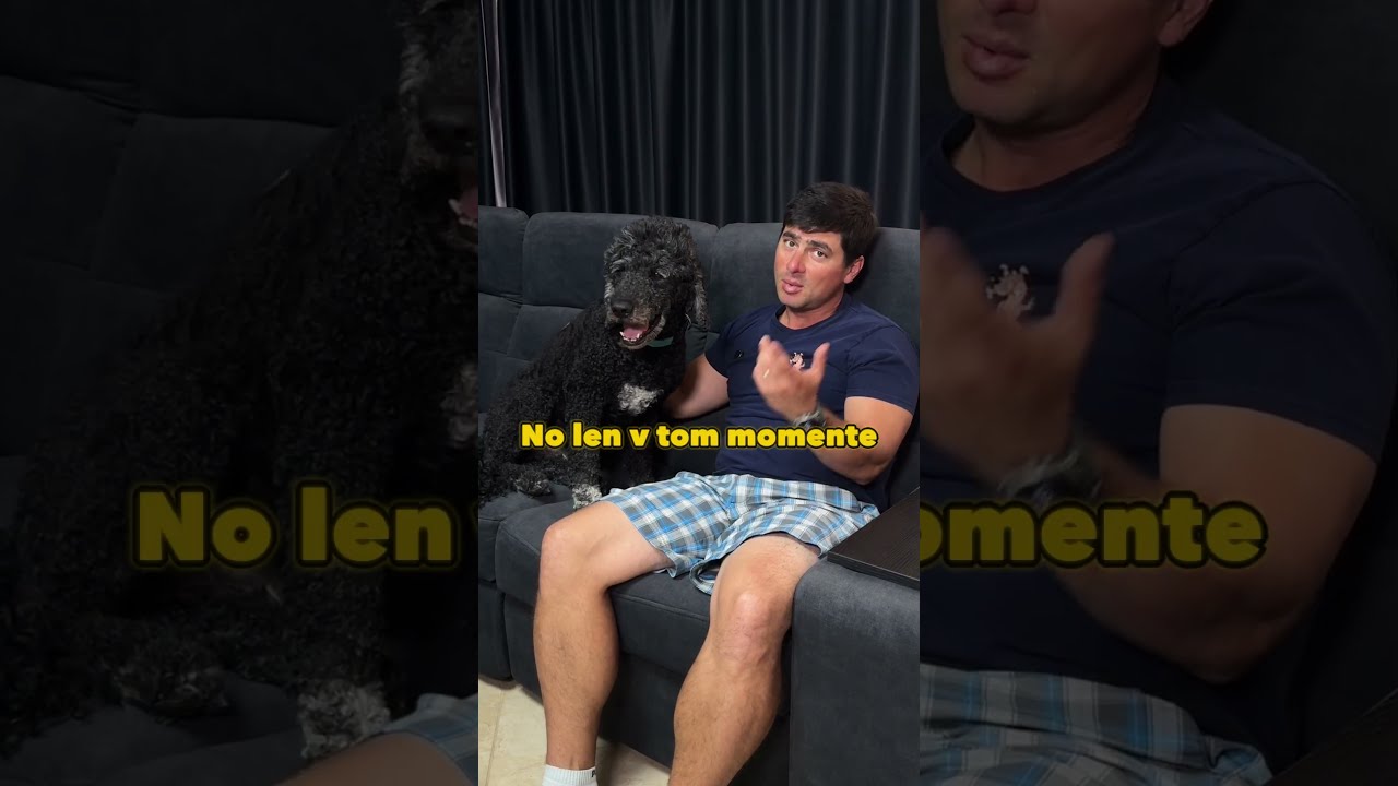 Položenie hlavy psa ako povel na pozornosť
