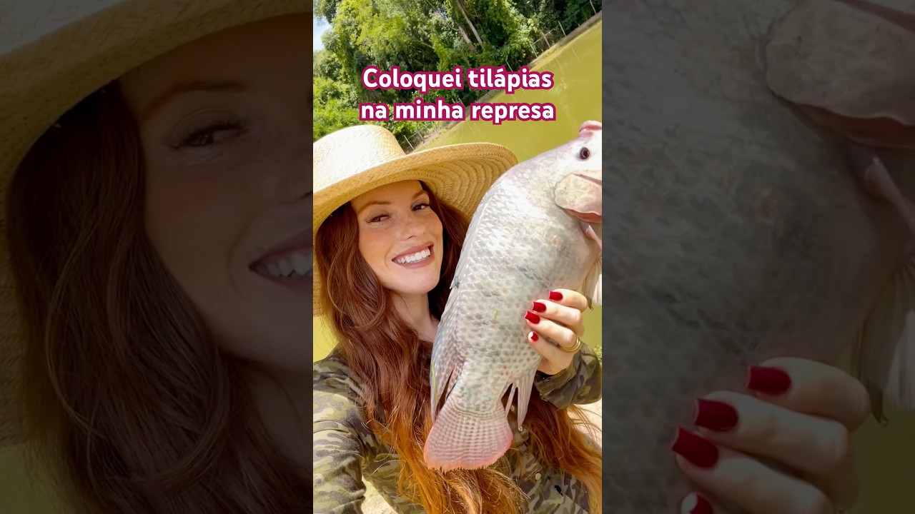 Comprando peixes para a nossa lagoa no sítio