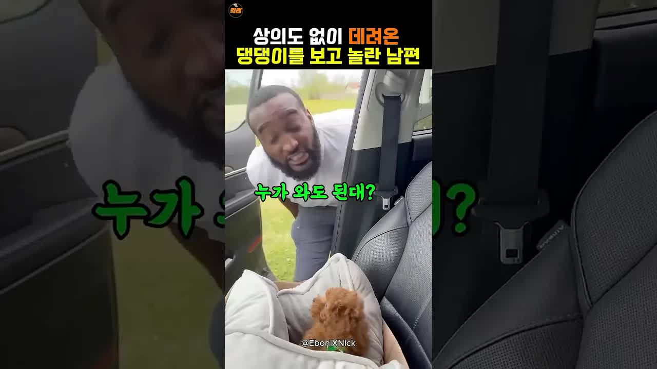 남편이 반려견을 귀여워하는 반전 순간