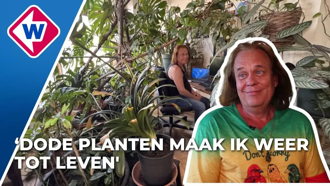 Welkom in het plantenasiel van Sam