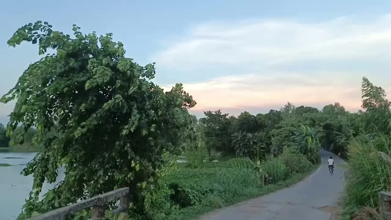 গ্রামীণ সৌন্দর্য: বেকরা থেকে কোনাবাড়ী পথের গল্প