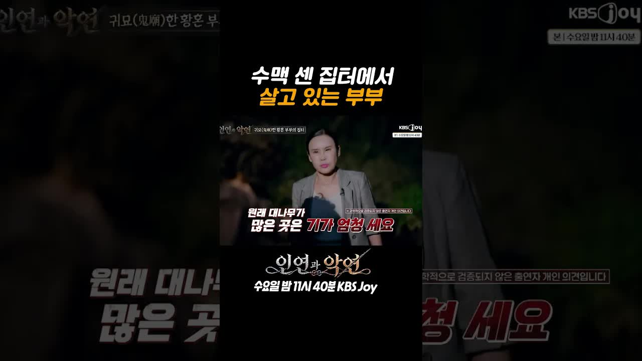 대나무가 살아남은 이유와 기운