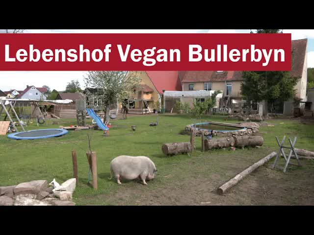 Lebenshof für gerettete Tiere in Bayern