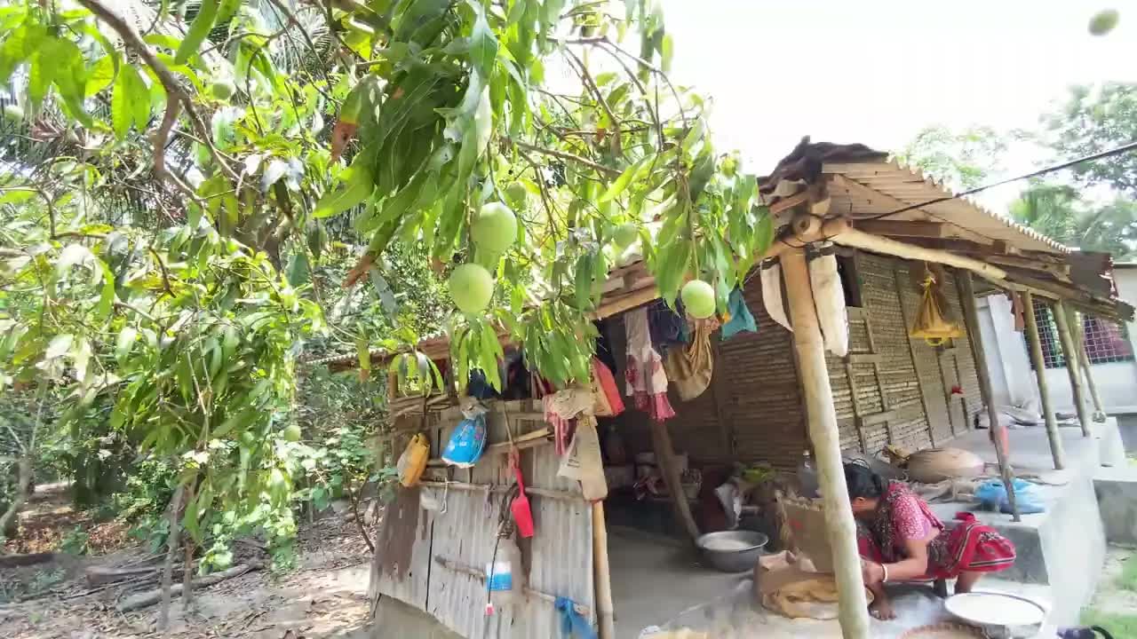 গ্রামের বাগানবাড়িতে একটি দিন