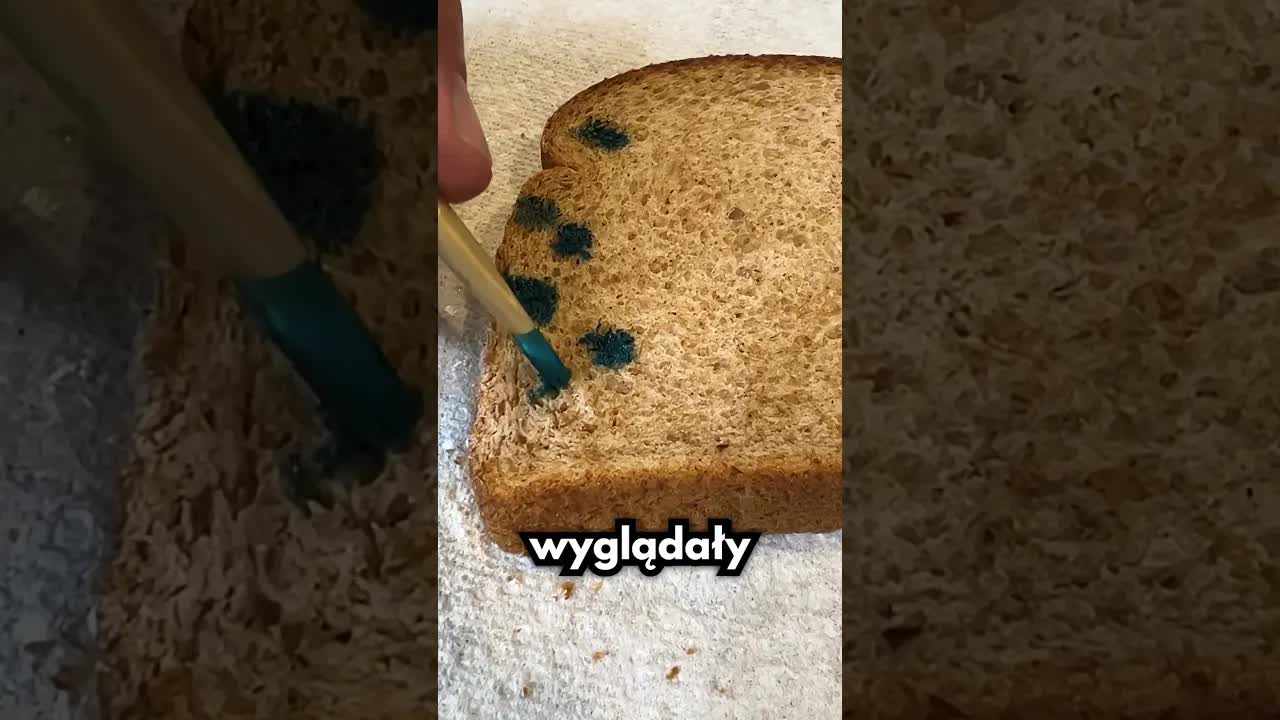 Jak robi się spleśniały chleb w filmach