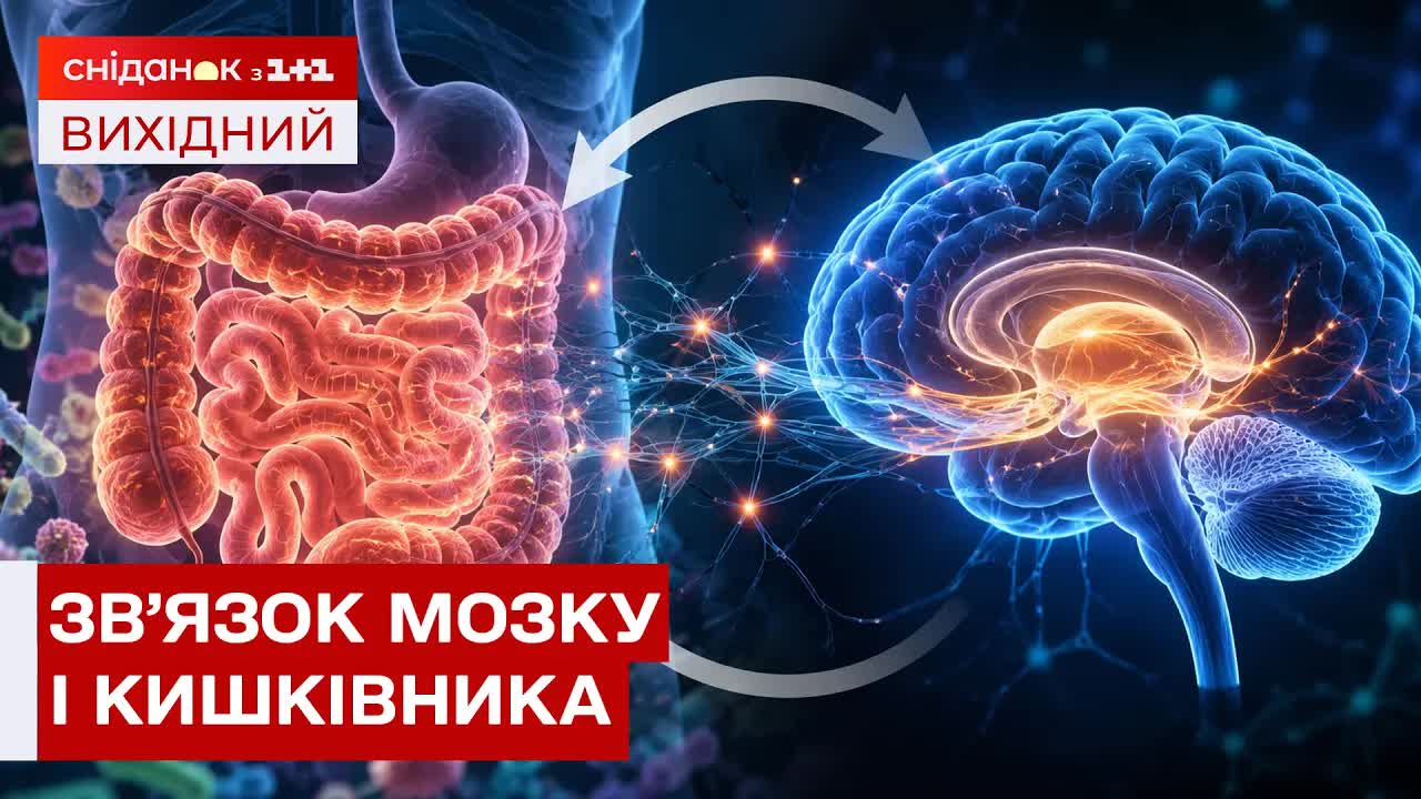 Кишківник як другий мозок: вплив стресу та мікробіоти