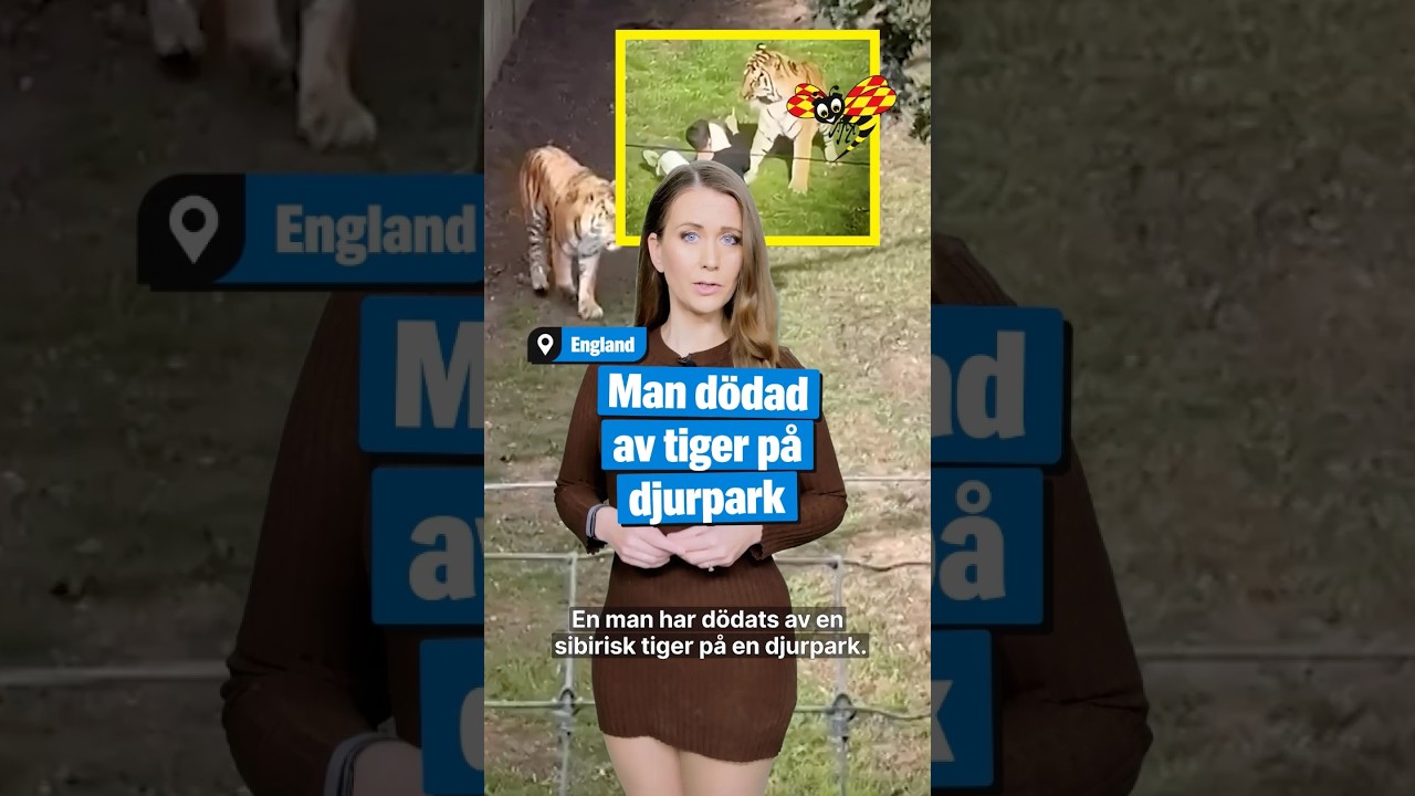 Man dödades av tiger på djurpark i England