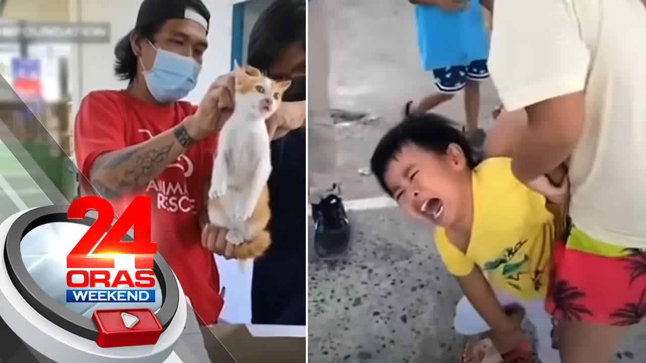 Batang umiiyak habang binabakunahan ang alagang pusa