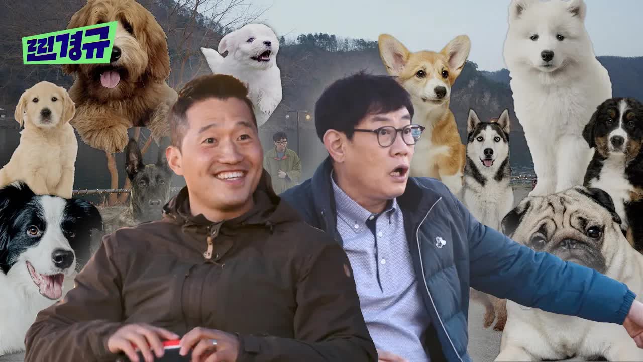 개소리 골든벨: 개 목소리 맞히기 대결