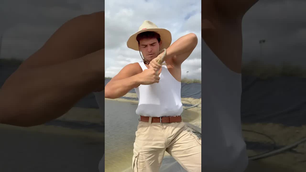 Rescatando siete lagartos atrapados en una balsa