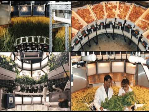 Jardines en el espacio: El reto de la NASA