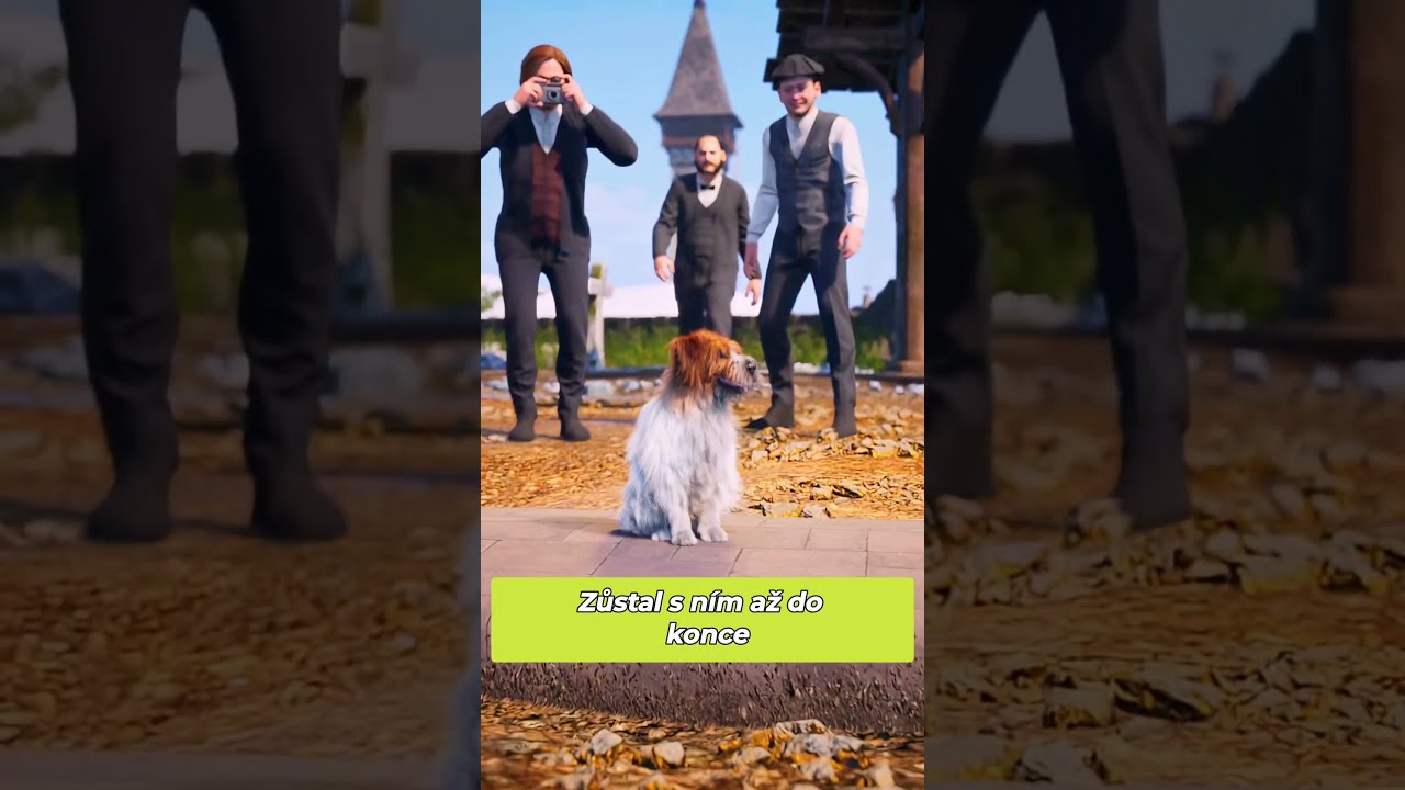 Pes věrný svému pánovi po 14 let