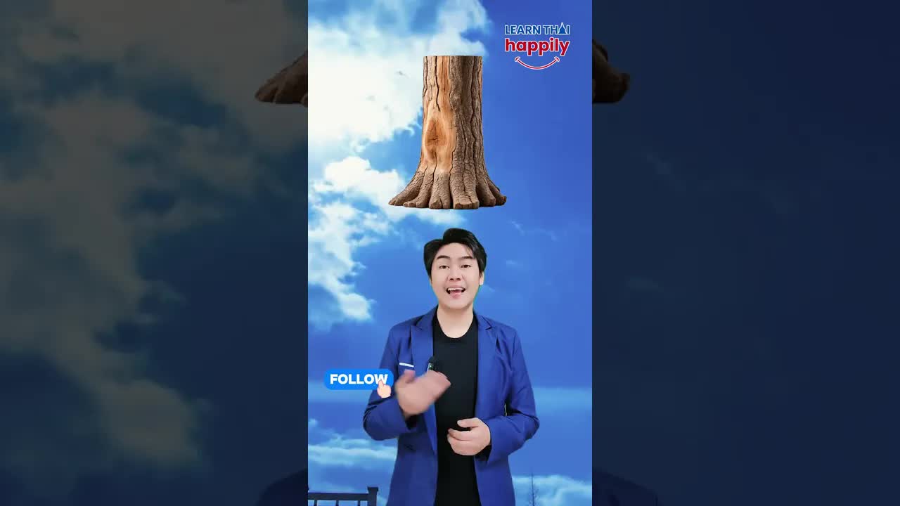 คำศัพท์ภาษาไทยเกี่ยวกับต้นไม้และส่วนประกอบ