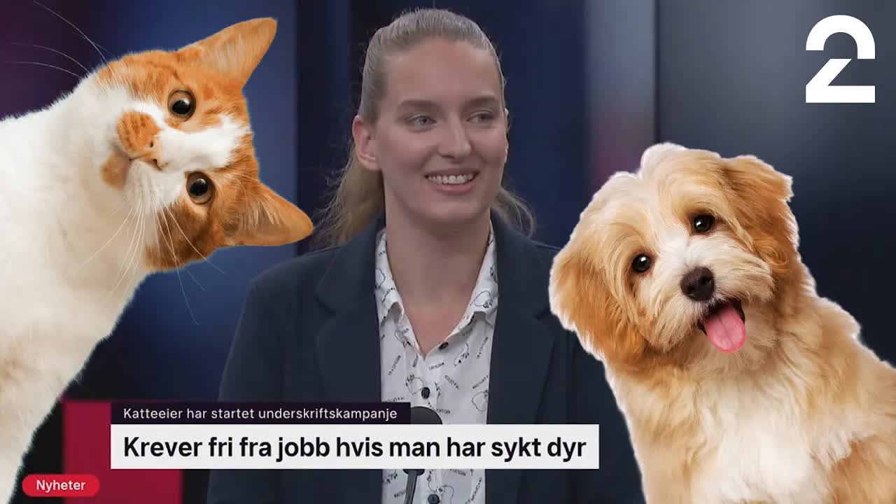 Debatt: Skal man ha fri fra jobb med sykt dyr?