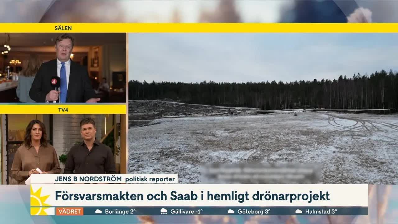 Försvarsmakten utvecklar hemligt drönarsvärmarprojekt