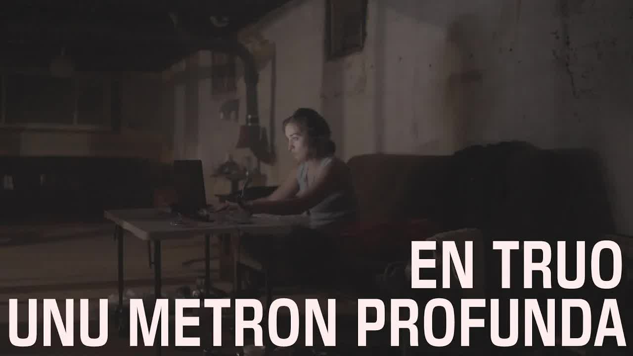 Filmo pri la vivo de fuŝulo