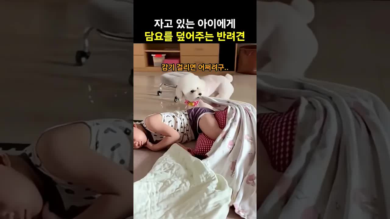 자는 아이에게 담요를 덮어주는 댕댕이