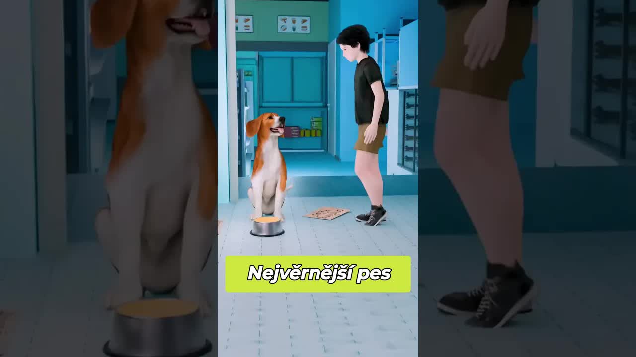Věrný pes adoptovaný princeznou