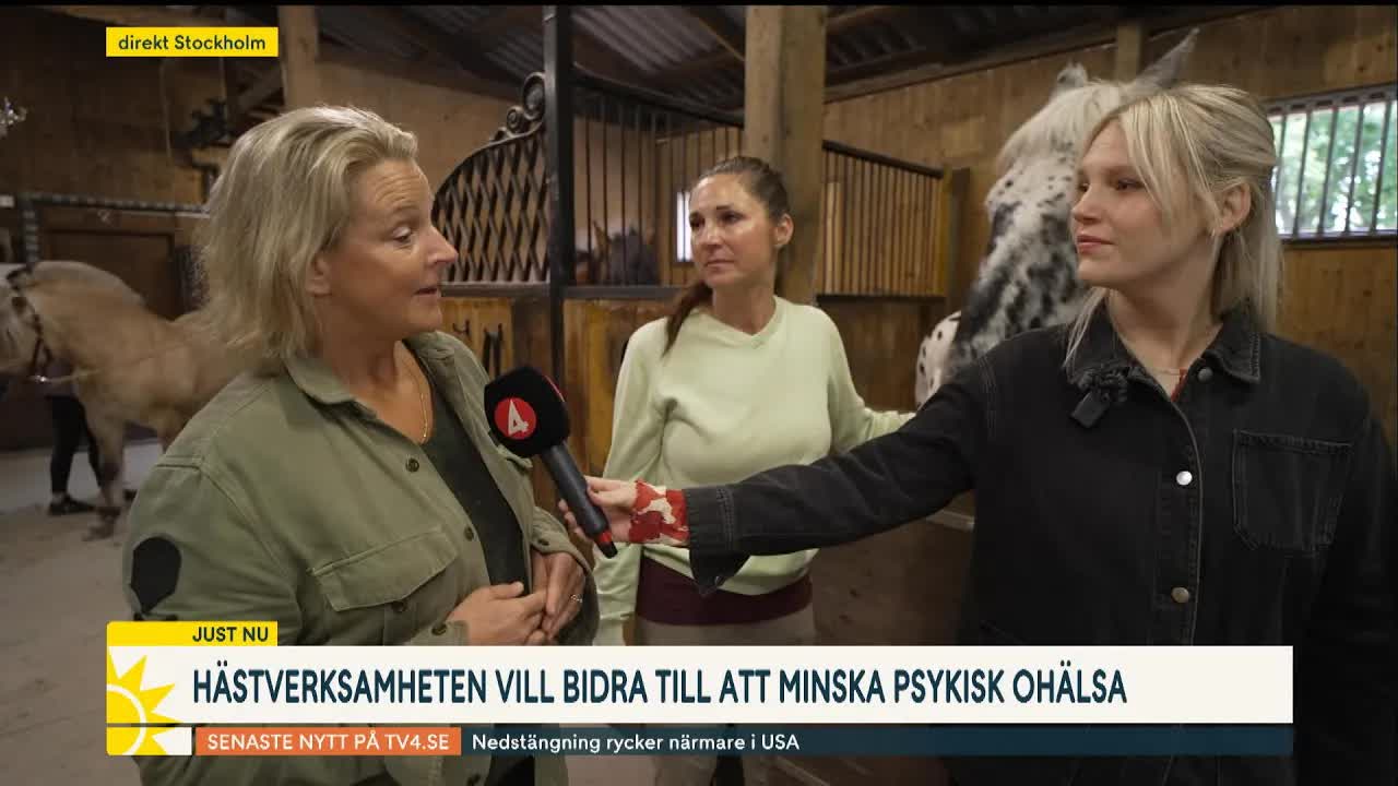 Hästar som terapi för psykisk ohälsa