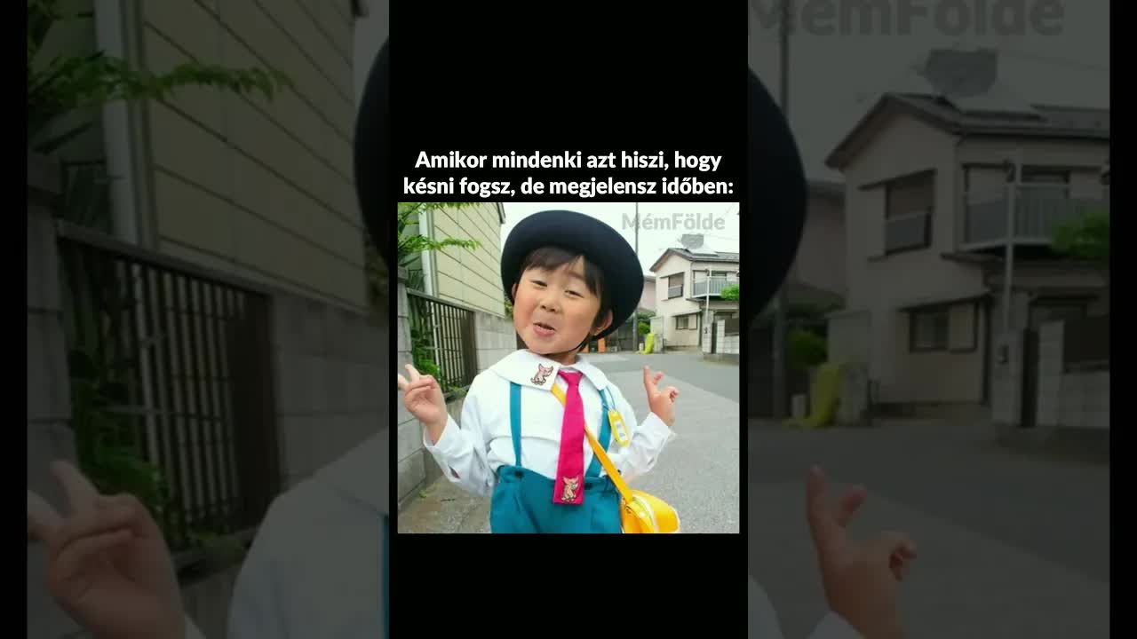 Vegyes mémek és érzések listája
