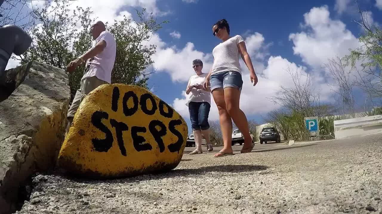 Following the Sun and Wind on Bonaire