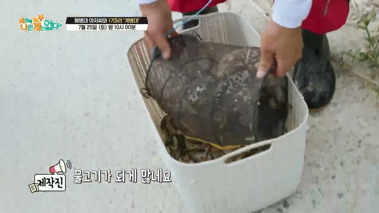 해병대 아저씨의 개병대와 특별한 하루