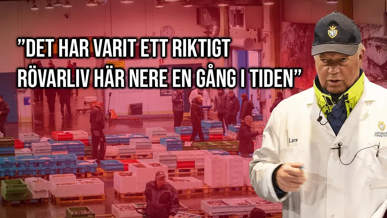Lars auktionerar fisk i Göteborgs hamn