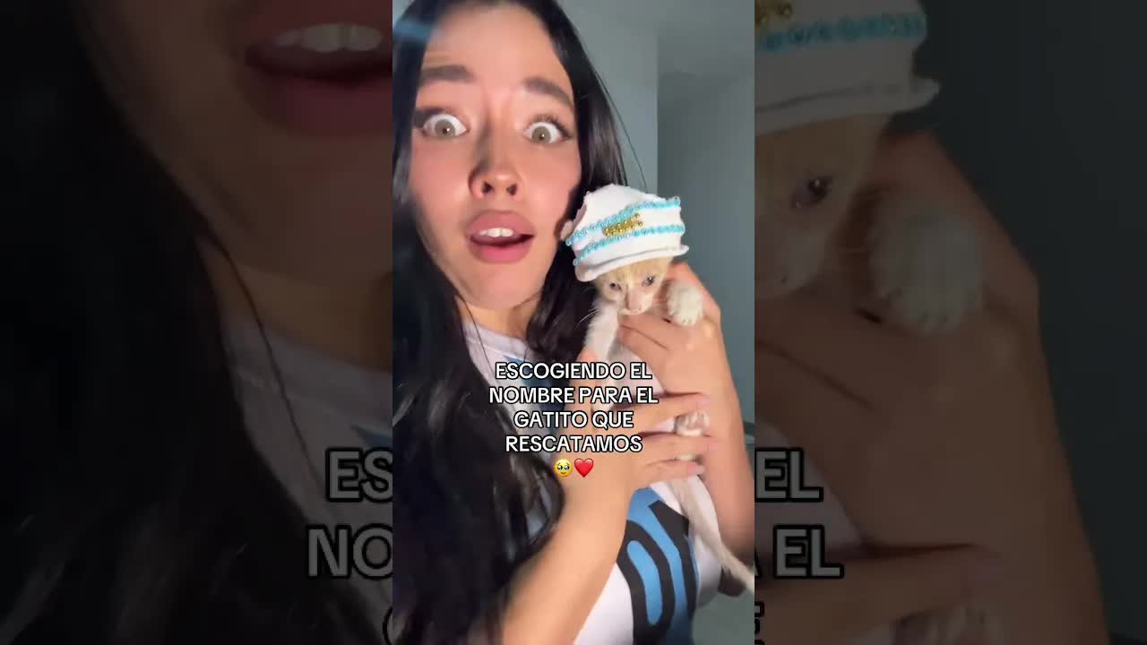 Un gatito elige su nombre