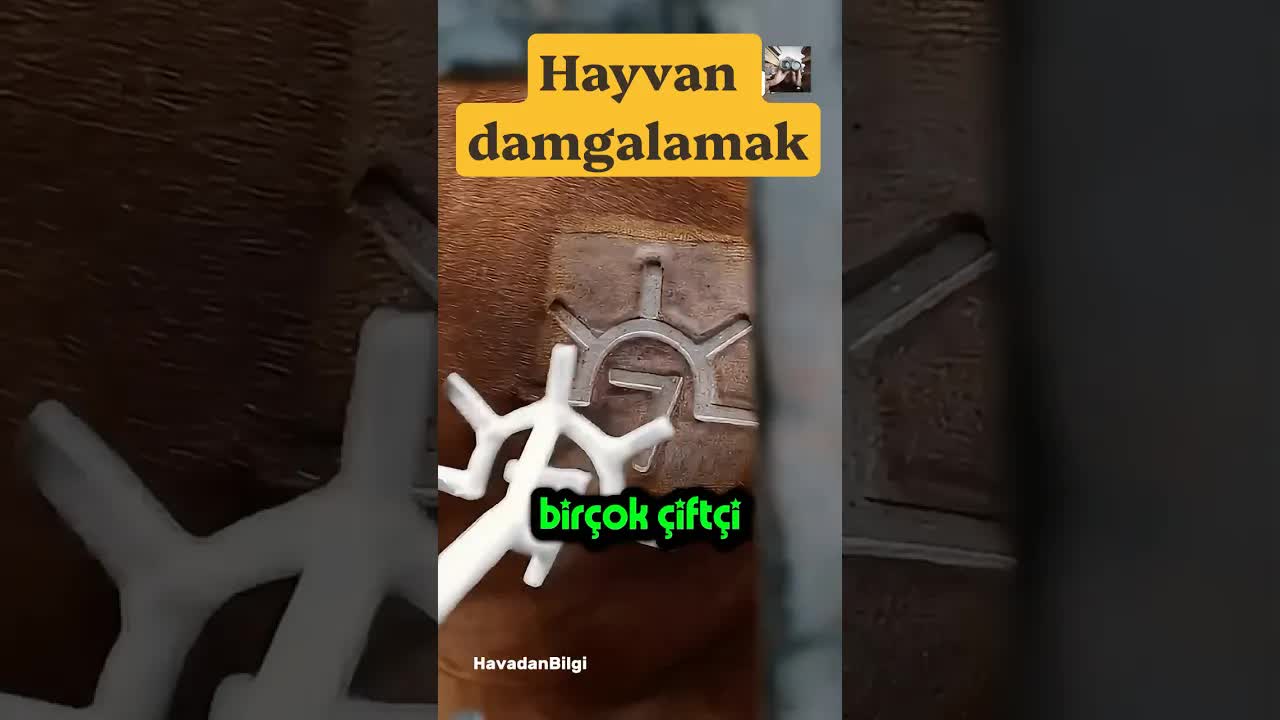 Hayvanları Buzla Damgalama Teknolojisi