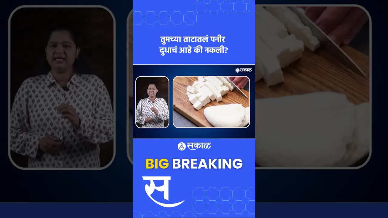 नालॉग पनीर म्हणजे काय आणि ते ओळखायचं कसं?