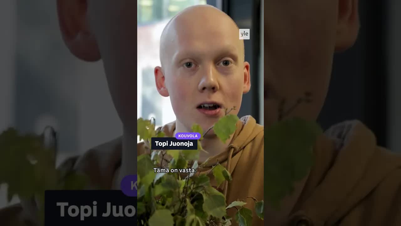 Vihta vai vasta? Suomen kielen jakolinjat
