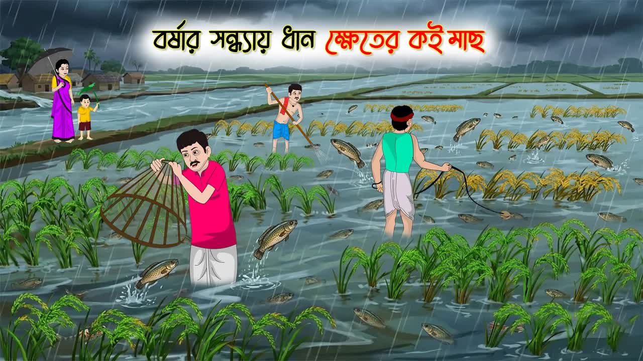 বর্ষার সন্ধ্যায় ধান ক্ষেতের কই মাছ
