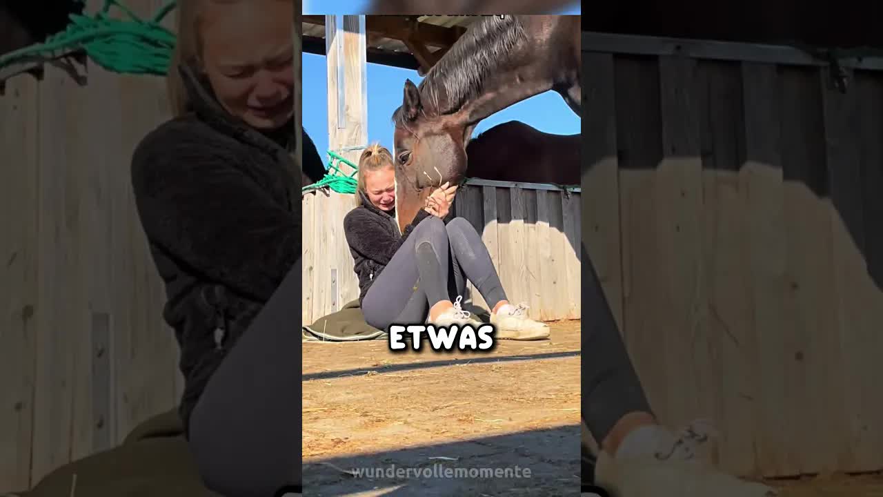 Das Pferd tröstete das Mädchen – ohne zu wissen warum