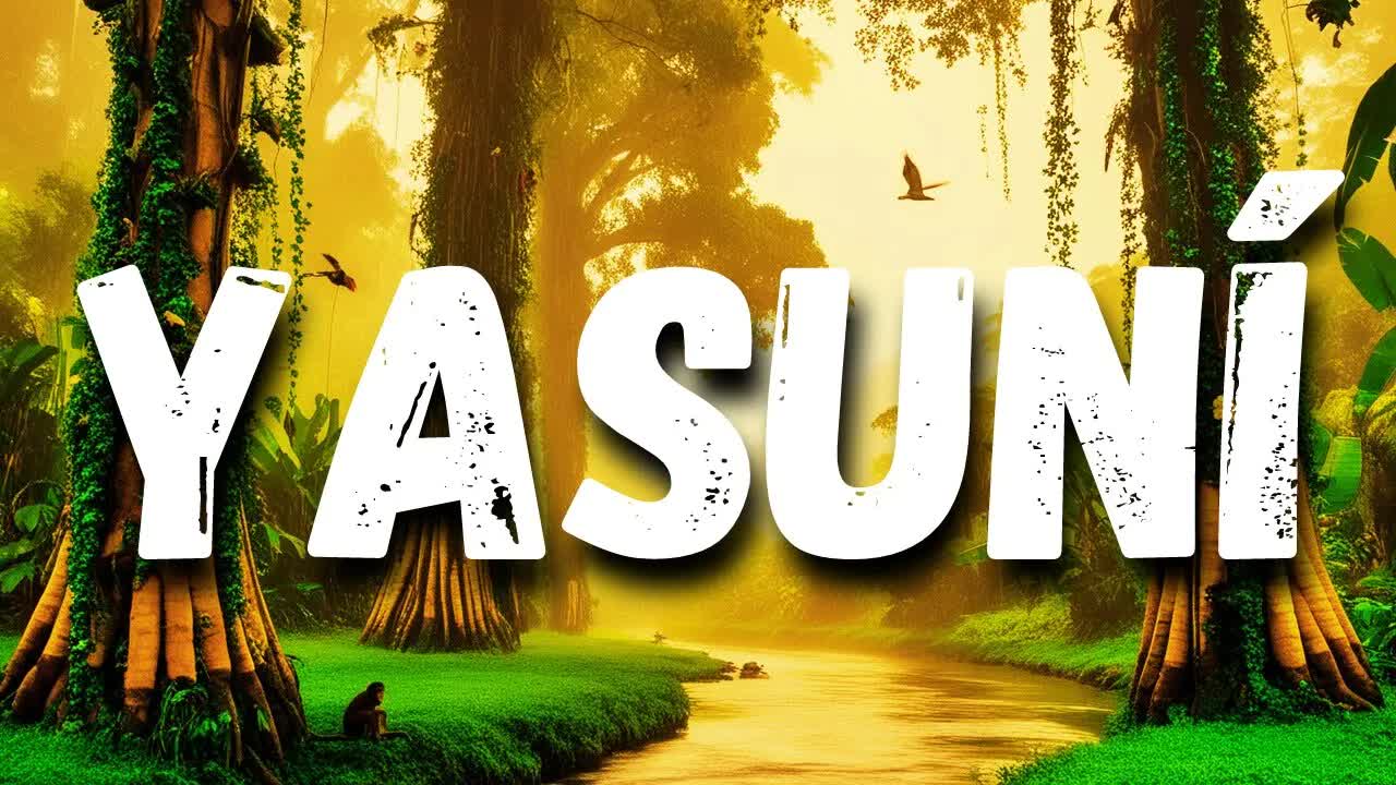 El parque nacional Yasuní en Ecuador
