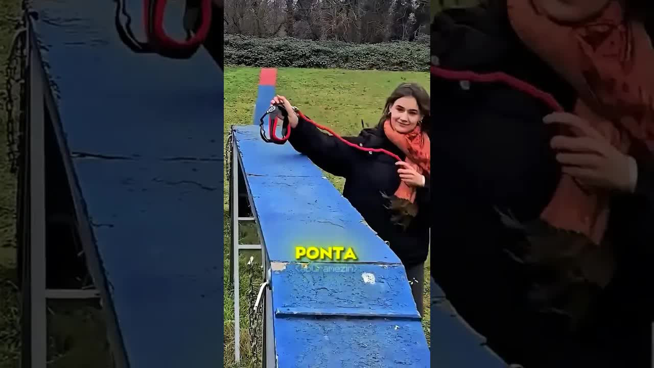 O Hobby Estranho de Passear com Cachorros Imaginários